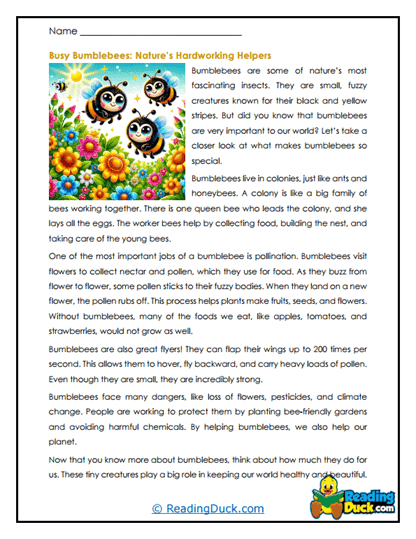 Bumblebee Worksheets