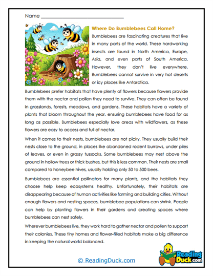 Habitat Hunters Worksheet