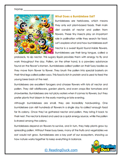 Nectar Nibblers Worksheet