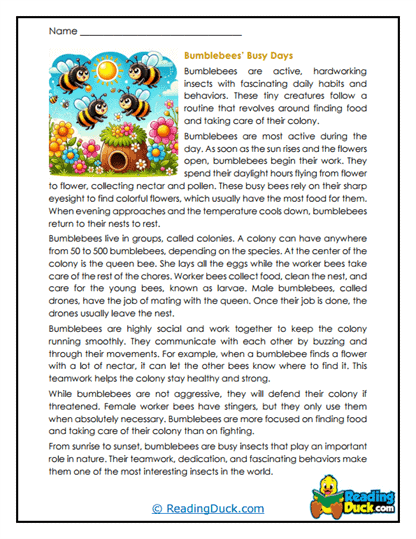 Colony Choreographers Worksheet