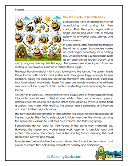 Queen's Journey Worksheet