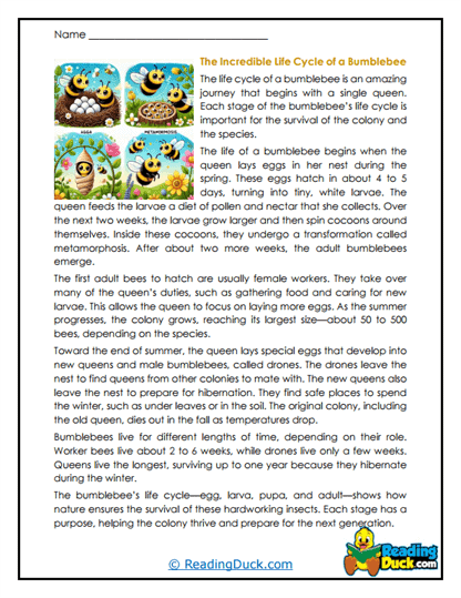 Cycle Stars Worksheet