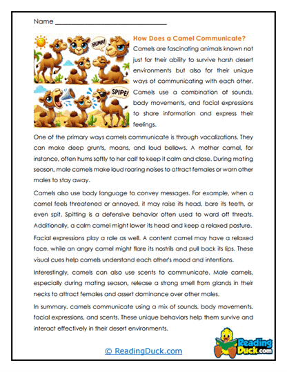 Camel Communication Worksheet