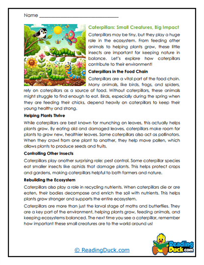 Eco Helpers Worksheet