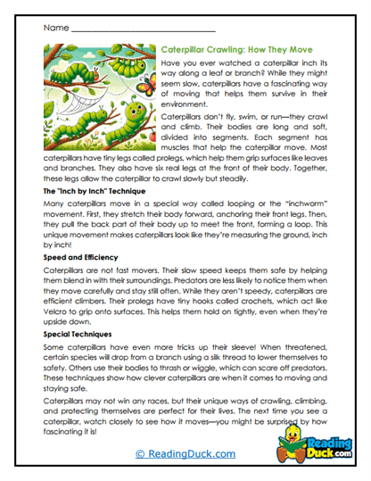 Smooth Movers Worksheet