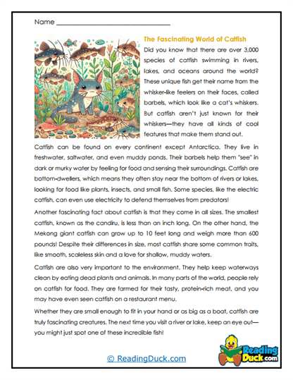 Whiskered Wonders Worksheet