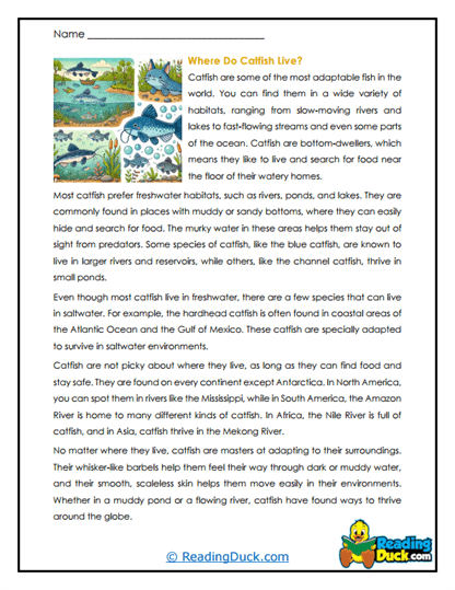 Muddy Homes Worksheet