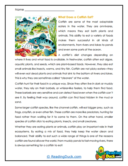Bottom Feeders Worksheet