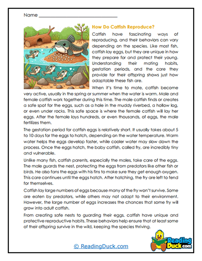 Egg Guardians Worksheet