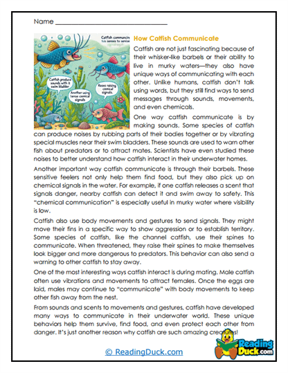 Catfish Reading Comprehension Worksheets