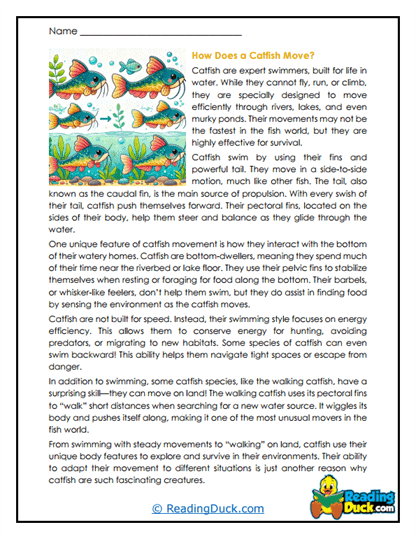 Smooth Swimmers Worksheet