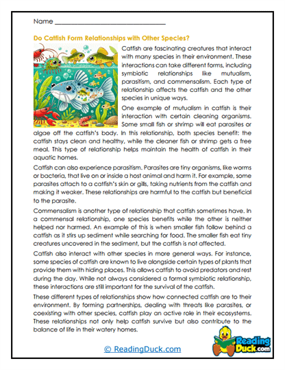 Aquatic Connections Worksheet