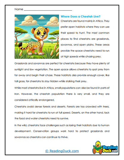 Habitat Explorer Worksheet