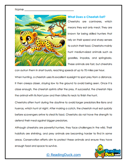Mealtime Sprint Worksheet