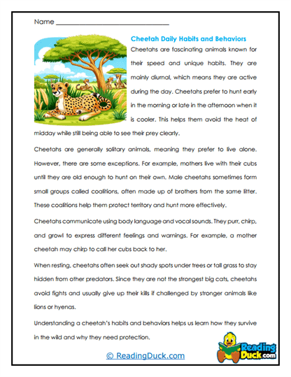 Daily Dash Worksheet