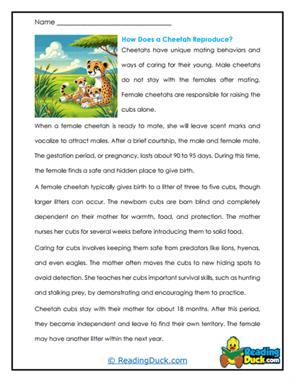 Caring Cubs Worksheet