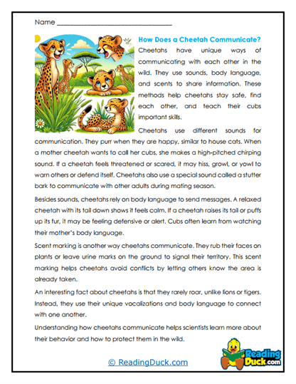 Talk Like a Cat Worksheet