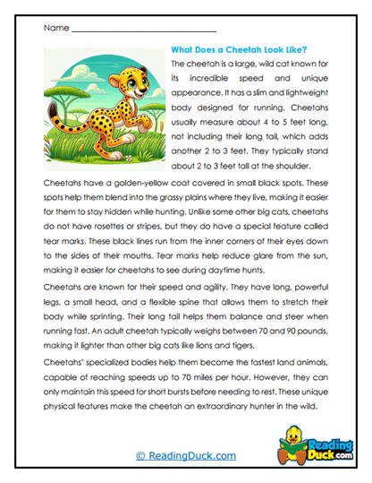 Cheetah Traits Worksheet