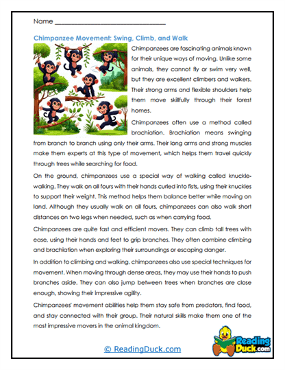 Monkey Moves Worksheet