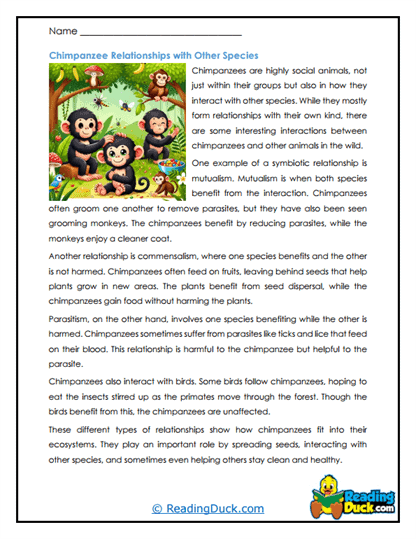 Animal Allies Worksheet