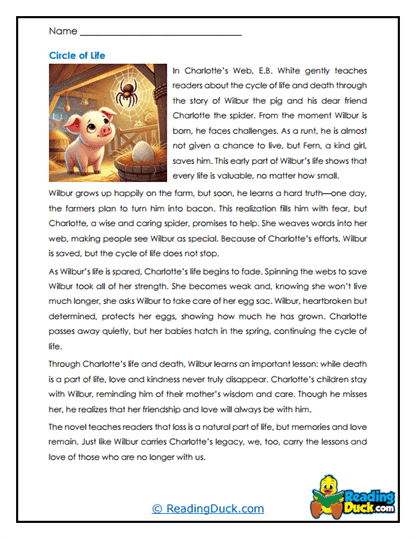 Life's Cycle Worksheet
