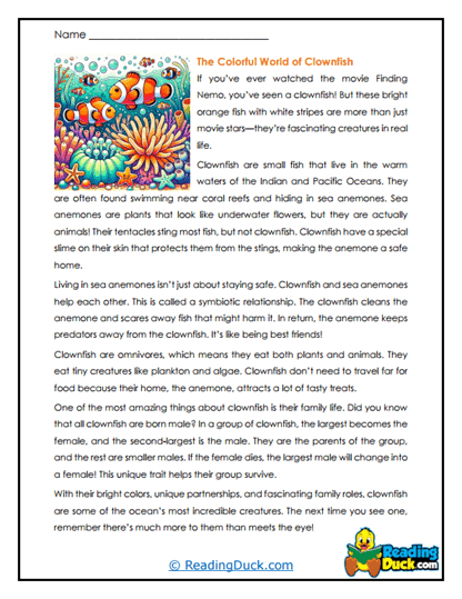 Reef Partners Worksheet
