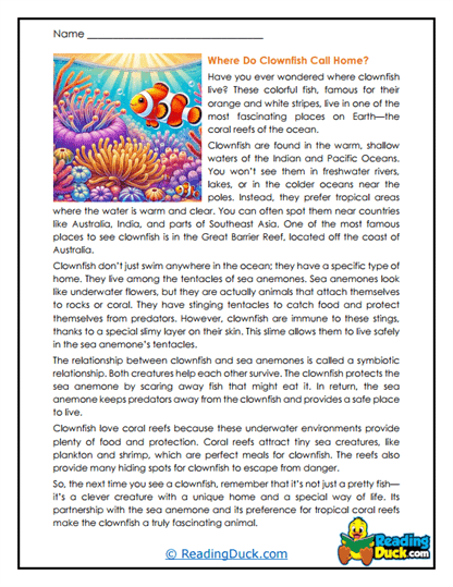 Anemone Homes Worksheet