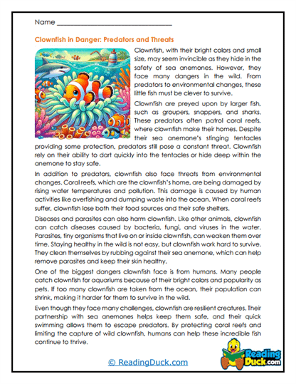 Reef Dangers Worksheet