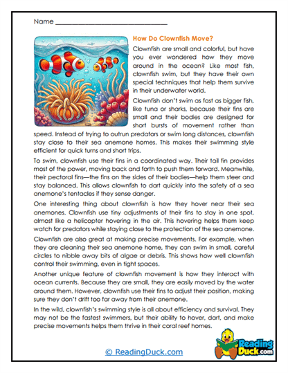 Careful Swimmers Worksheet