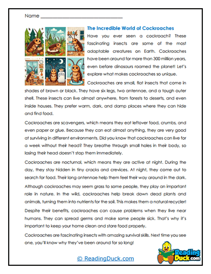 Survival Champs Worksheet