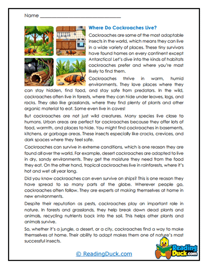 Habitat Explorers Worksheet