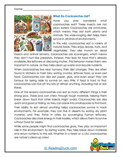 Cleanup Crew Worksheet