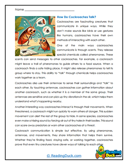 Cockroach Worksheets