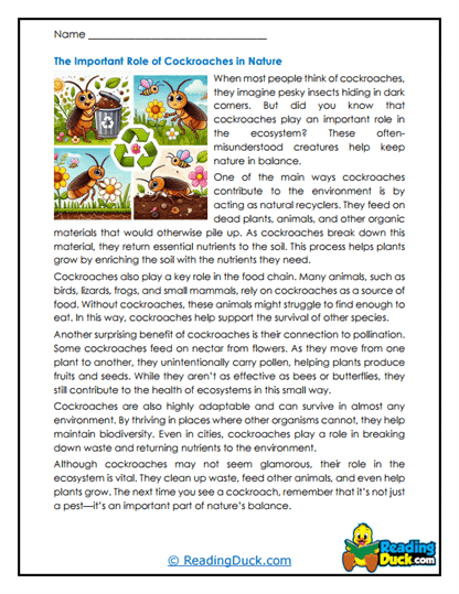 Ecosystem Recyclers Worksheet