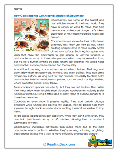 Motion Masters Worksheet