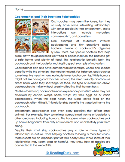 Web Weavers Worksheet