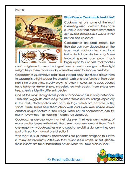 Armor Runners Worksheet