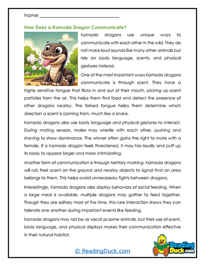 Silent Signals Worksheet