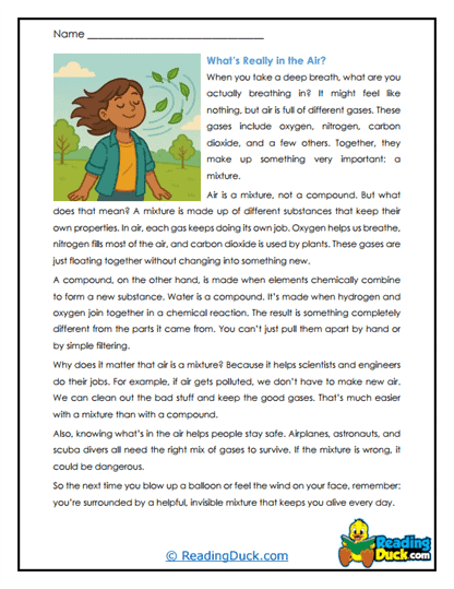 Breathing a Mixture Worksheet