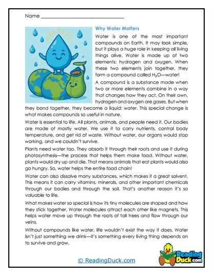 Everyday Chemistry Worksheet