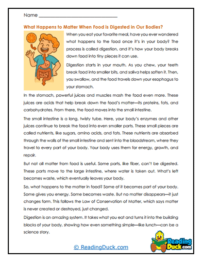 From Lunch to Life Worksheet