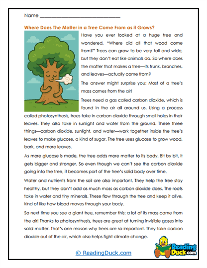 Growing From Thin Air Worksheet