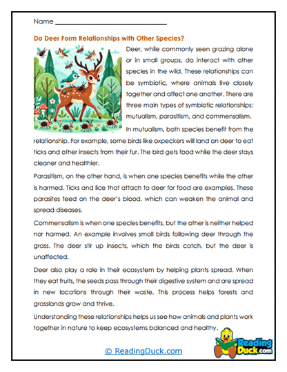 Wild Friends Worksheet