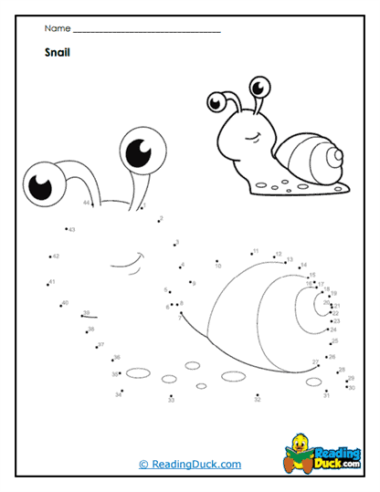 Snail Trail Worksheet
