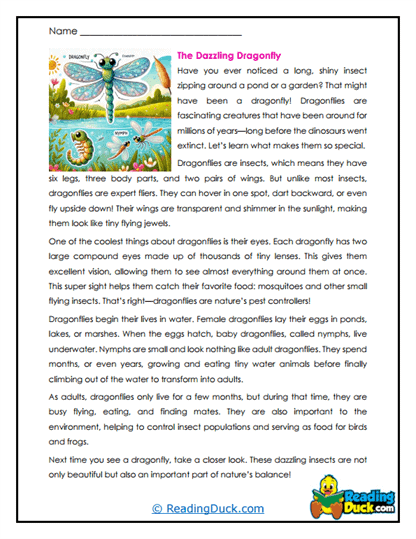 Sky Sprinters Worksheet