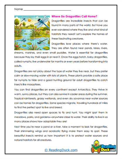 Wetland Wanderers Worksheet