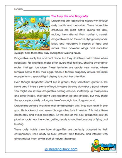 Daylight Drifters Worksheet