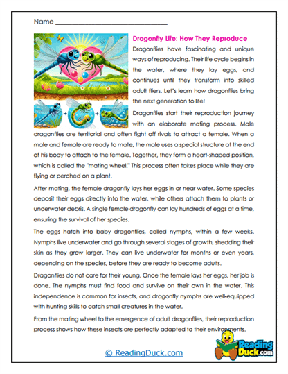 River Rituals Worksheet