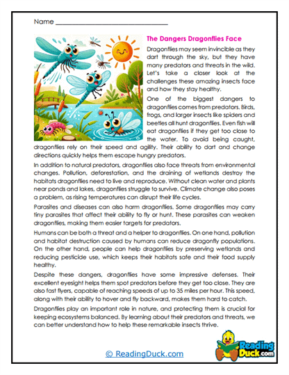 Dragonfly Worksheets