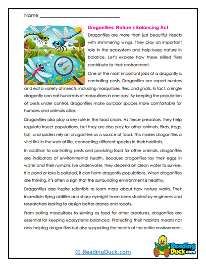 Balance Keepers Worksheet